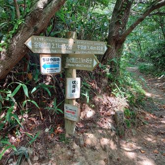 伏見峠分岐点