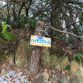 向山ハイキングコース登山口より登る