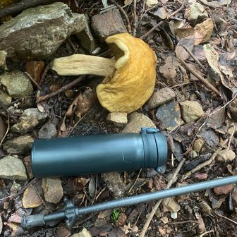 大きい🍄落ちてた
比較500mlボトル