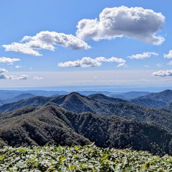 横山中岳が写り込んでると信じている😙