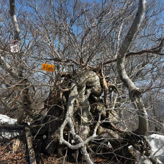 下谷山ゲット今日の目標着いた〜