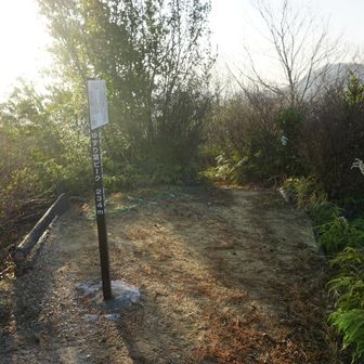 ゆずり葉ピーク。ここからいったん下る