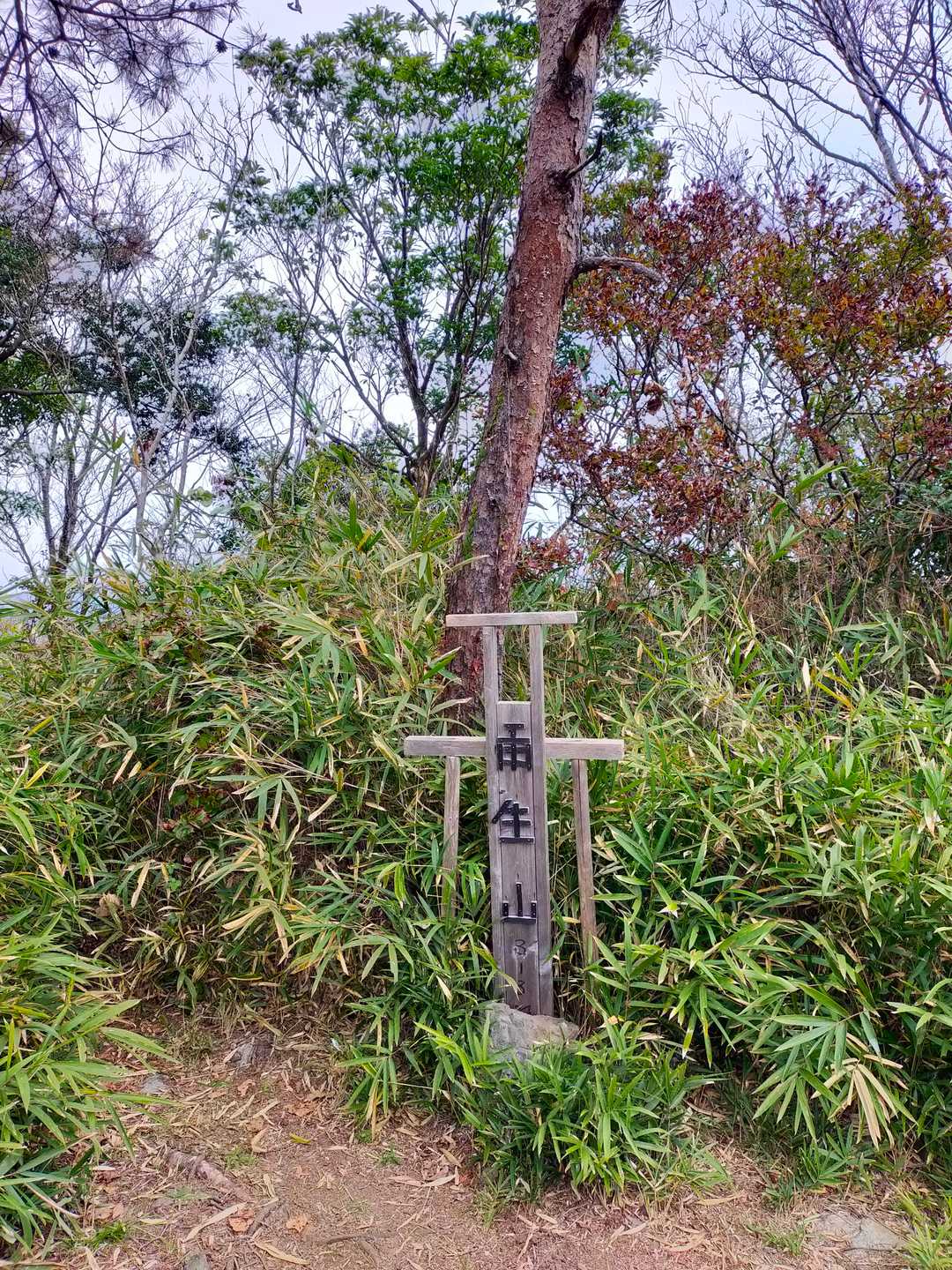雨生山の写真