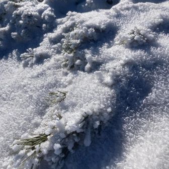 雪の結晶が綺麗✨