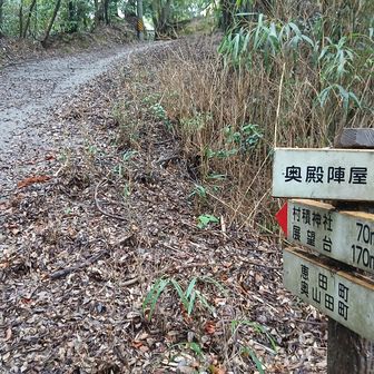 頂上(村瀬神社)まで、コンクリ道があったようだ。濡れてるので滑るだろうけど。
