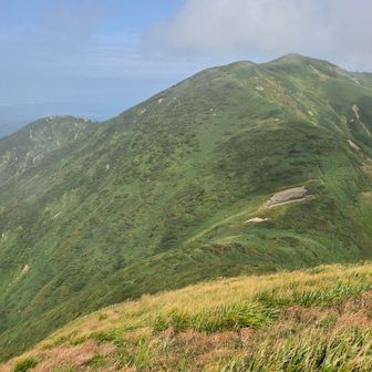 朳差岳✨