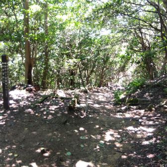 鉢伏山へは東側ルートをたどります
山道の四つ辻です
東側から来るのは山腹周回路