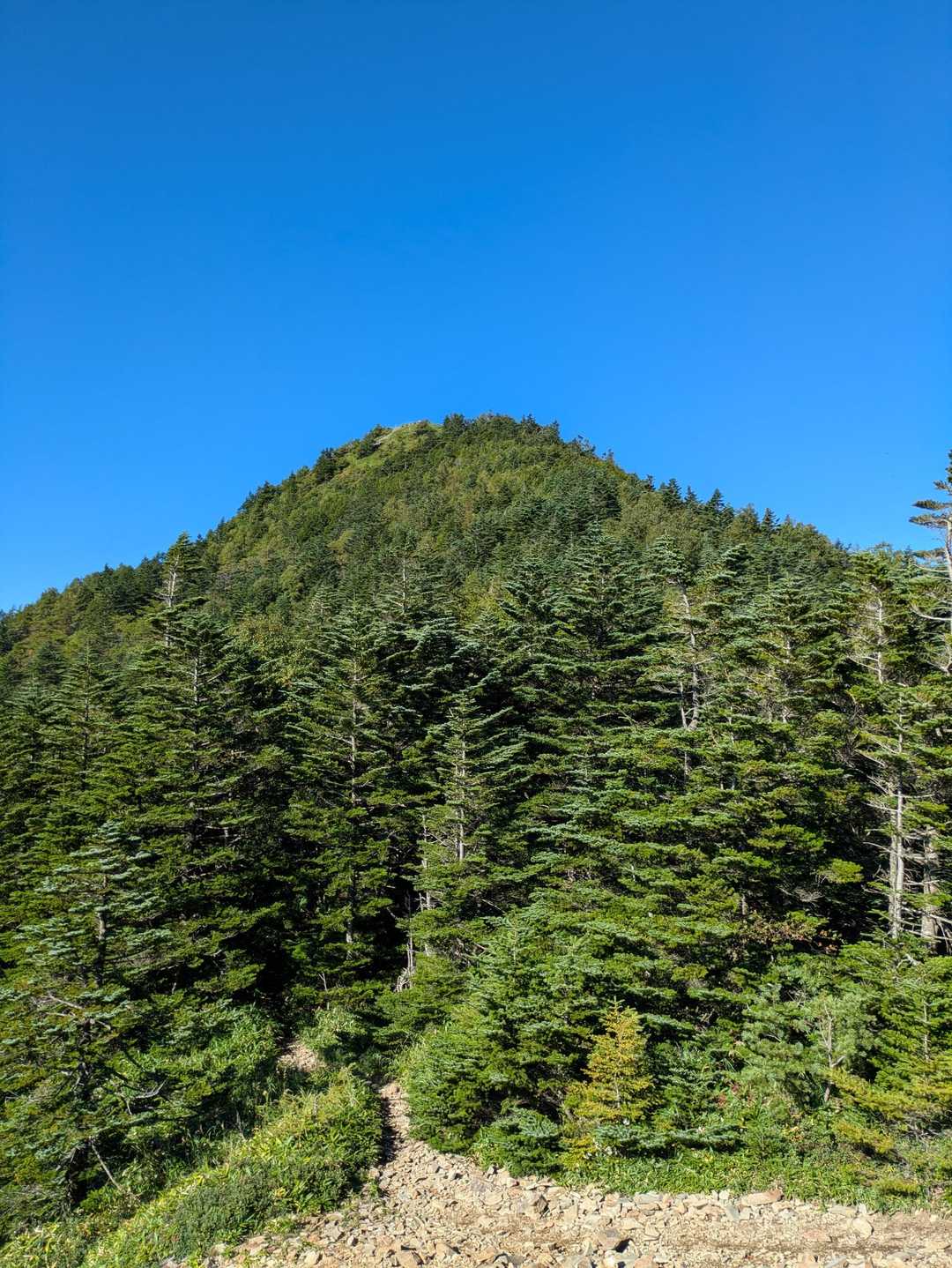 高峰温泉バス停-水ノ塔山-篭ノ登山-池ノ平湿原入口 周回コースの写真