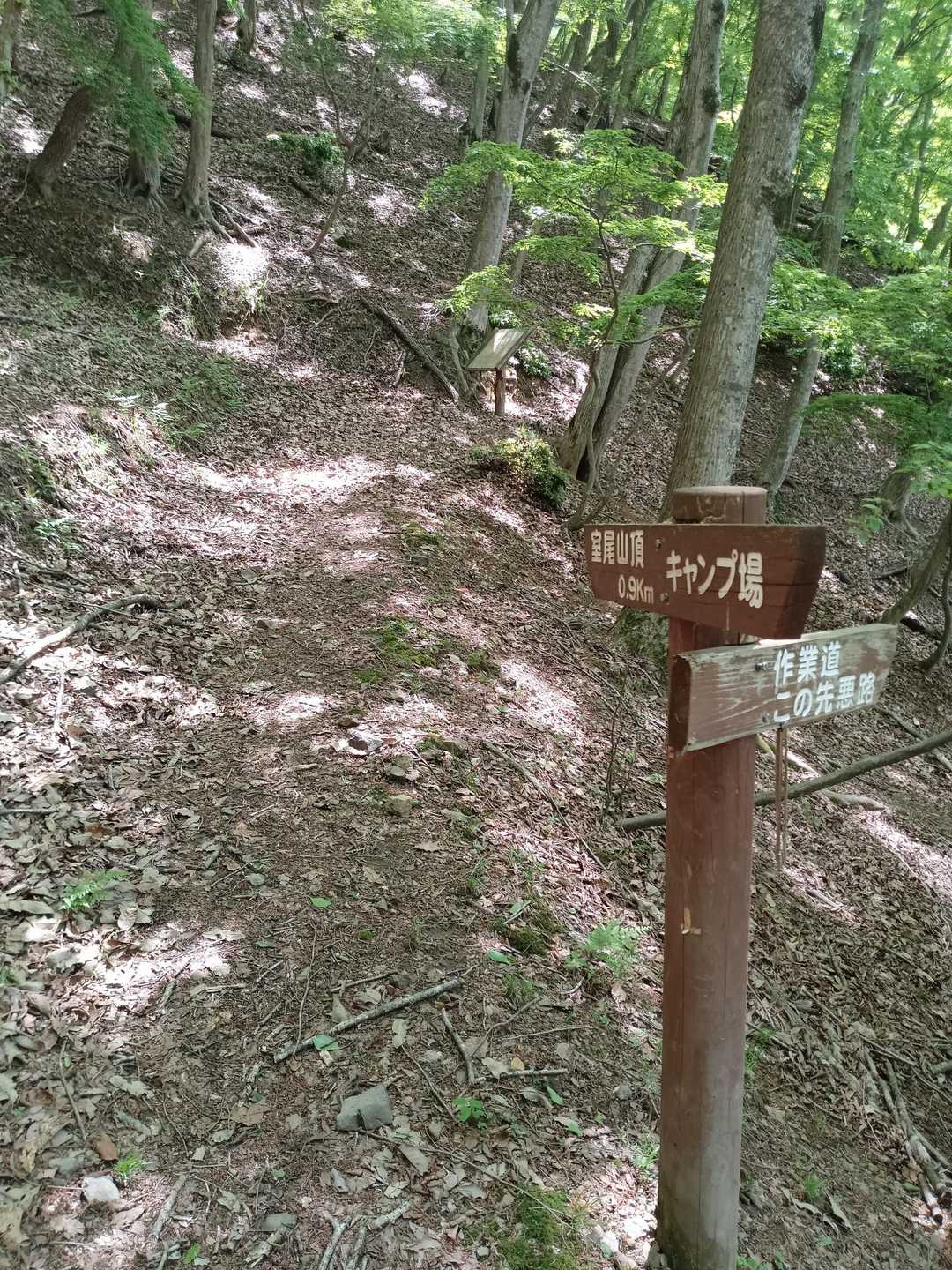 室尾山に向けての登山道以外にも幾つか作業道が有るが、殆ど人が入らないので悪路である🧐