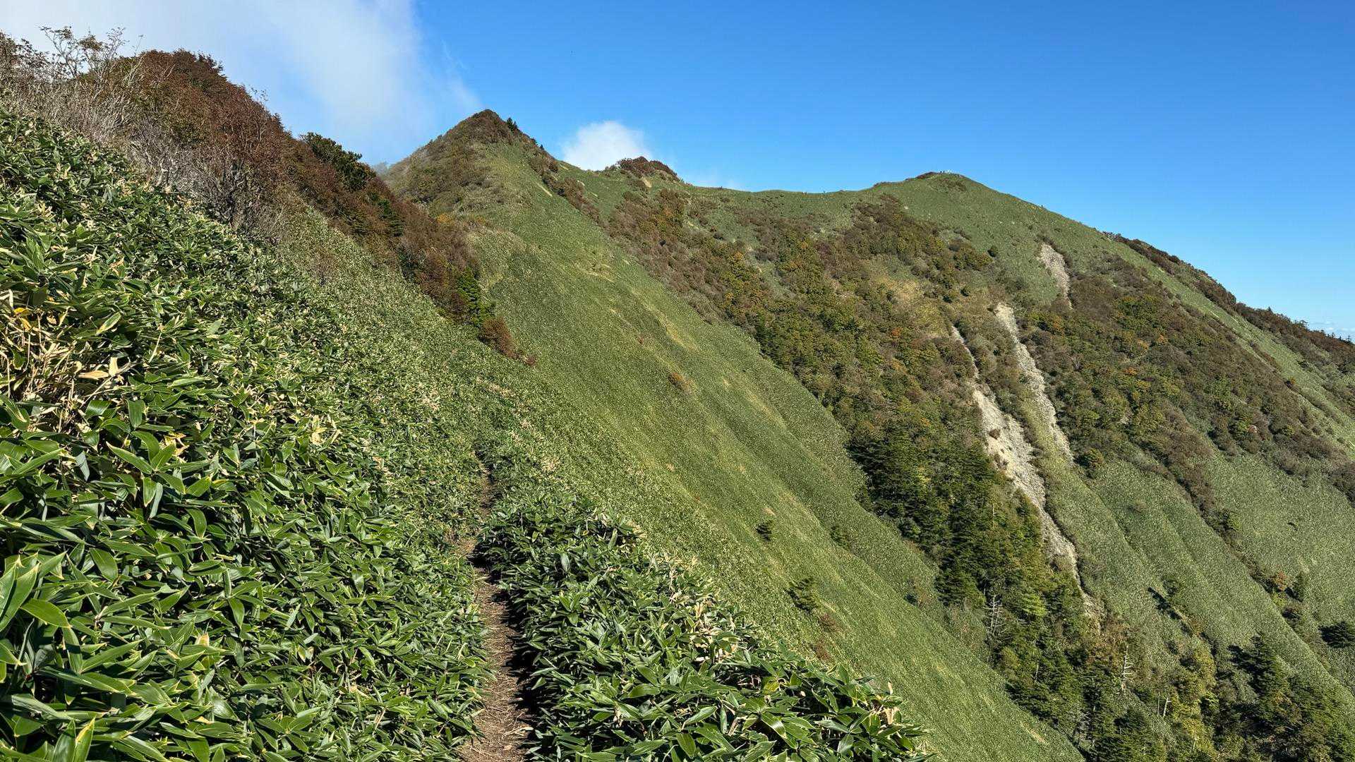 東黒森登山口-伊予富士 往復コースの写真