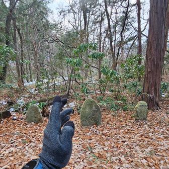 こんにちは🙏✨
庚申塔・山神