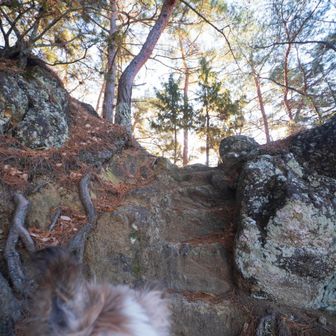 チーズさん抱っこで