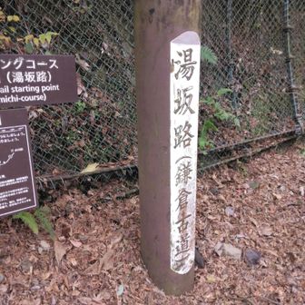 ゴール。すぐ隣に日帰り温泉の和泉があります。