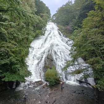 湯滝🏞️
今日は釣り人が多かったです🎣