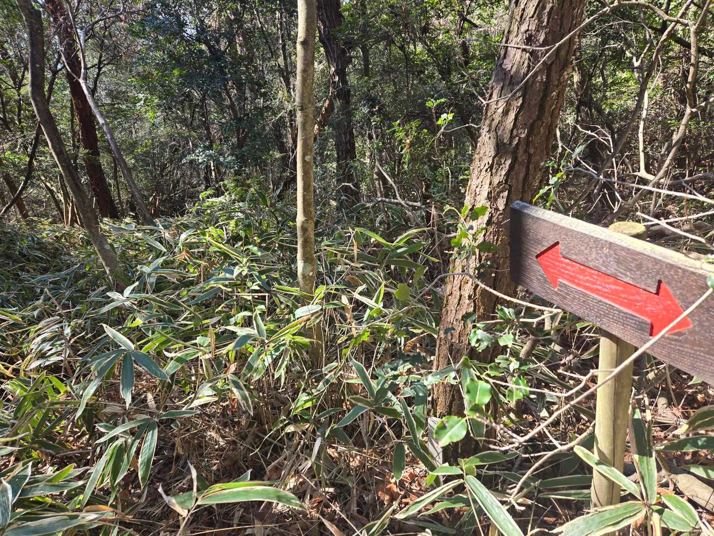こうした矢印があります。
でもここがこの山で少し迷うところでした😑