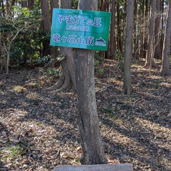 三合山山頂は特に何もありません。