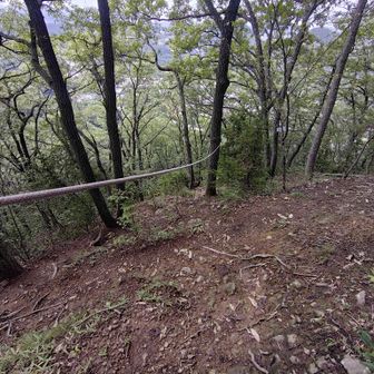 下りはロープのある本線を行きます