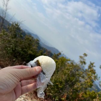 これがうまい😋