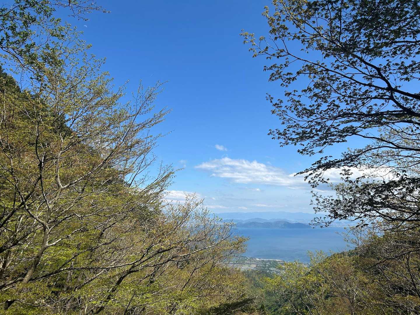 坊村バス停-坊村登山口-御殿山-ワサビ峠-武奈ヶ岳-コヤマ 縦走コースの写真