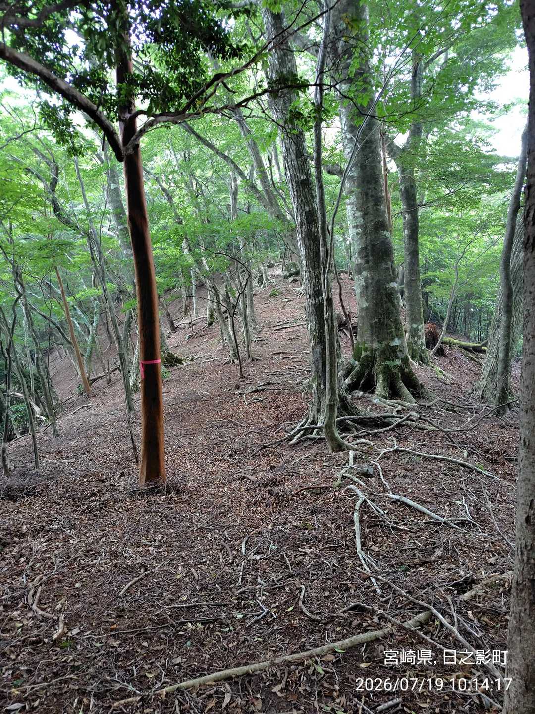 足が前に中々進まない。