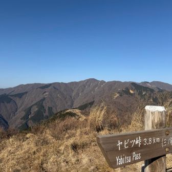 この中心の1番高いところにある屋根が塔ノ岳です。これからが本番です。