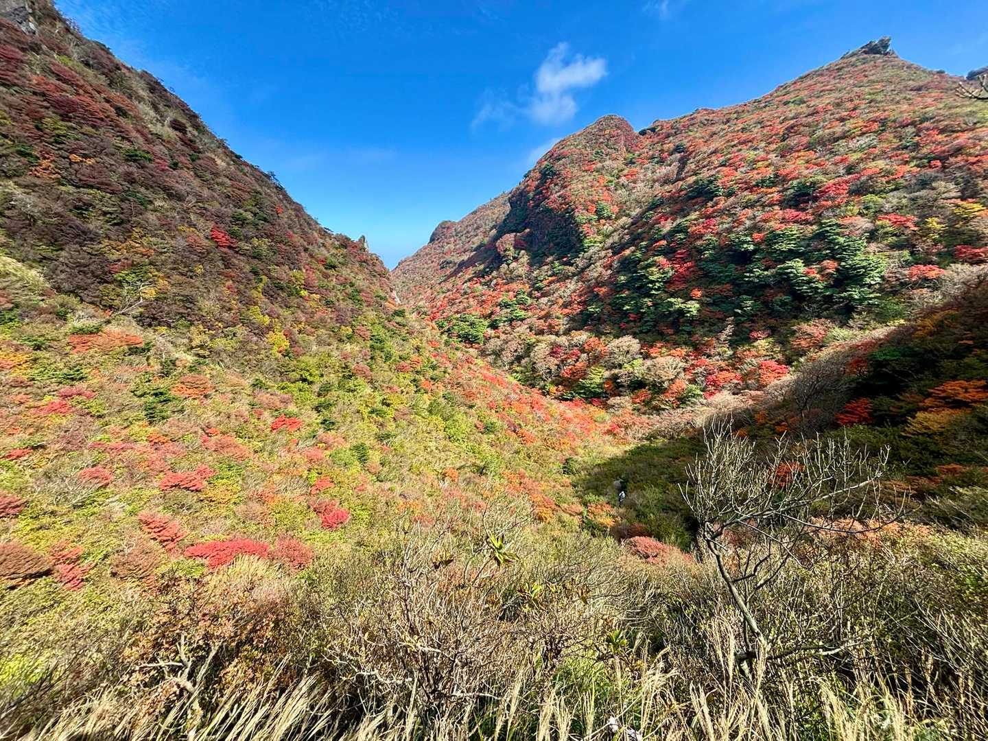 妙見岳駅-妙見岳-紅葉茶屋-普賢岳 往復コースの写真
