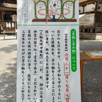 木も三種類使われているぜいたくな茅の輪。
見よう見まねでくぐってから、拝殿前でお参りしました🙏🏻