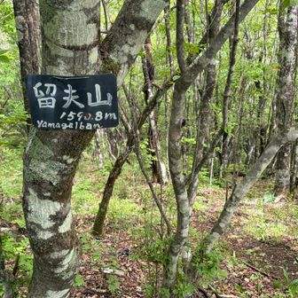 こんなのもあった