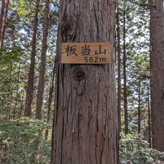 さあもう少しで狐塚峠です