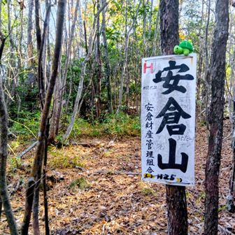 時々見かけた山印🐢