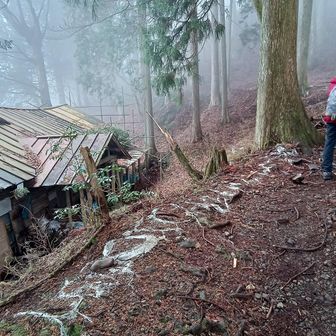 山荘のある大岳山の基部に