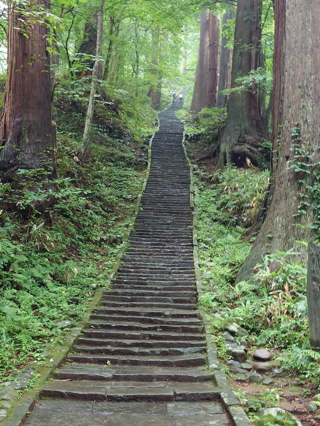 湿度で暑い