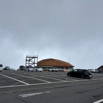 戻ってきた