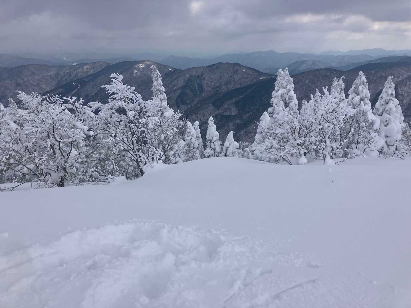 恐羅漢山 往復コースの写真