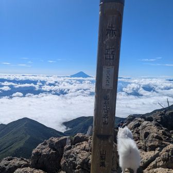 山頂から富士山が見えました。