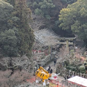 本堂から世界一大寅