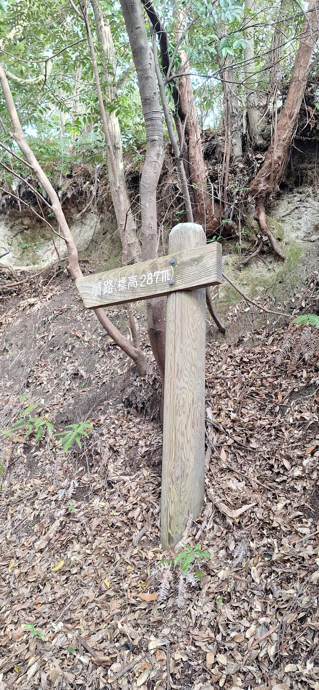２８７㍍