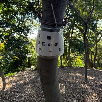 大一足登頂⛰️