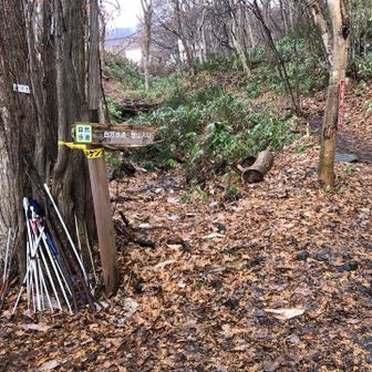 お客さん待ち。
今日はこちらから。

連絡きたらゲレンデ下りればすぐ行ける👍