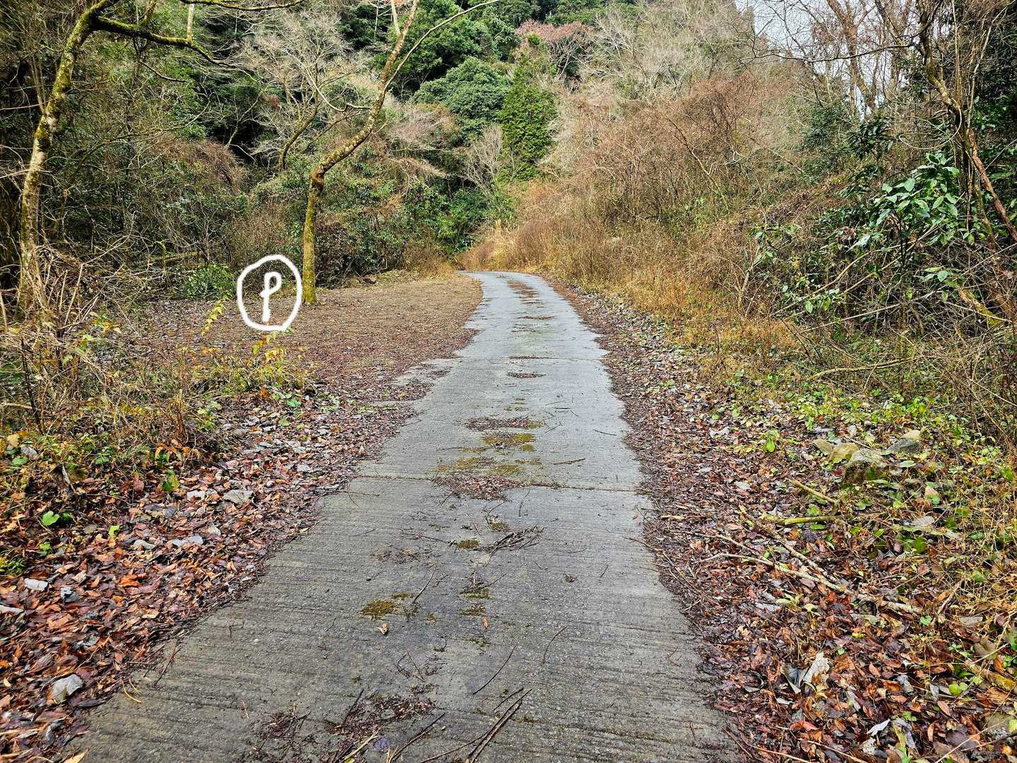 ３番目奥の駐車場にもなし。