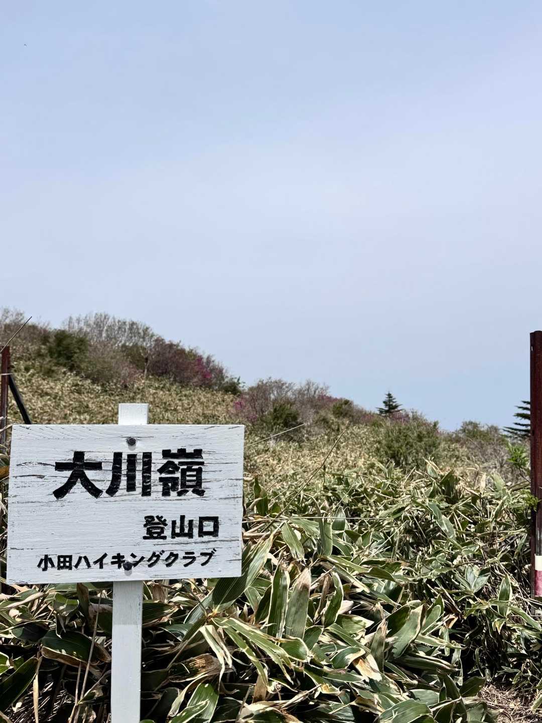 今日はここの登山口から登って行きます