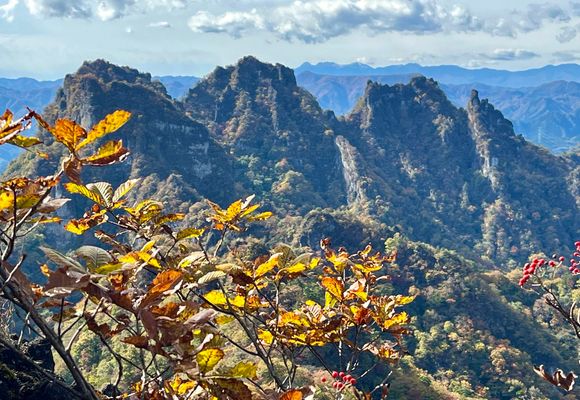 aji_san | YAMAP / ヤマップ