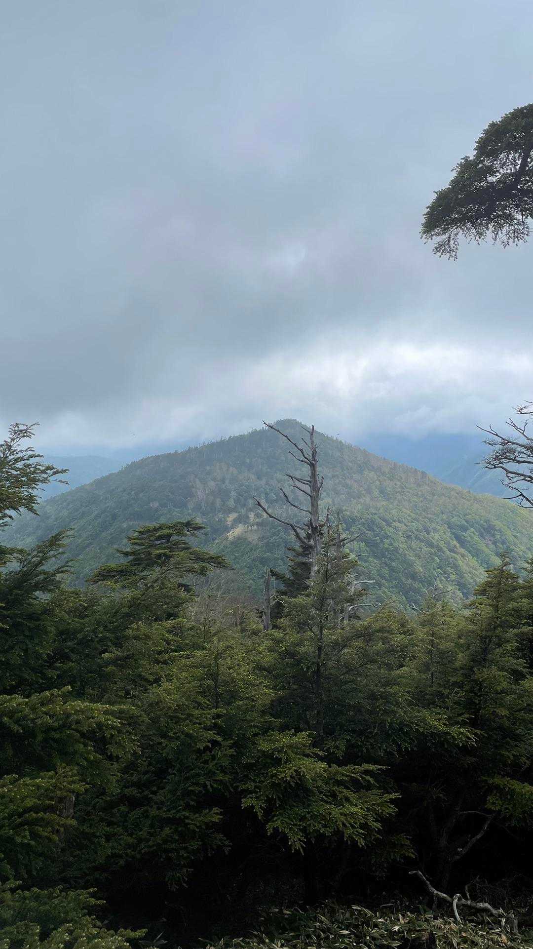あ〜山王帽子山⛰️

遠いな(›´ω`‹ )ﾂｶﾚﾀ