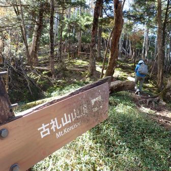 ふたつ目のピーク、古礼山へ。左側には巻き道もあります
