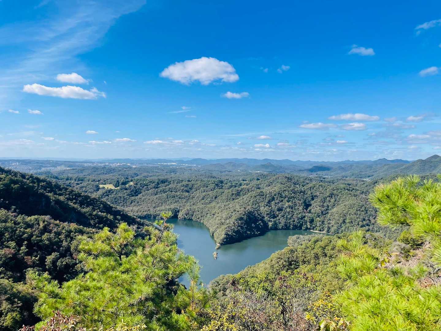 太陽と緑の道・千苅大岩岳コースの写真