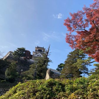 外国の人もチラホラ。