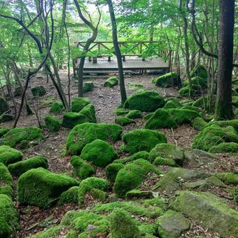 展望台