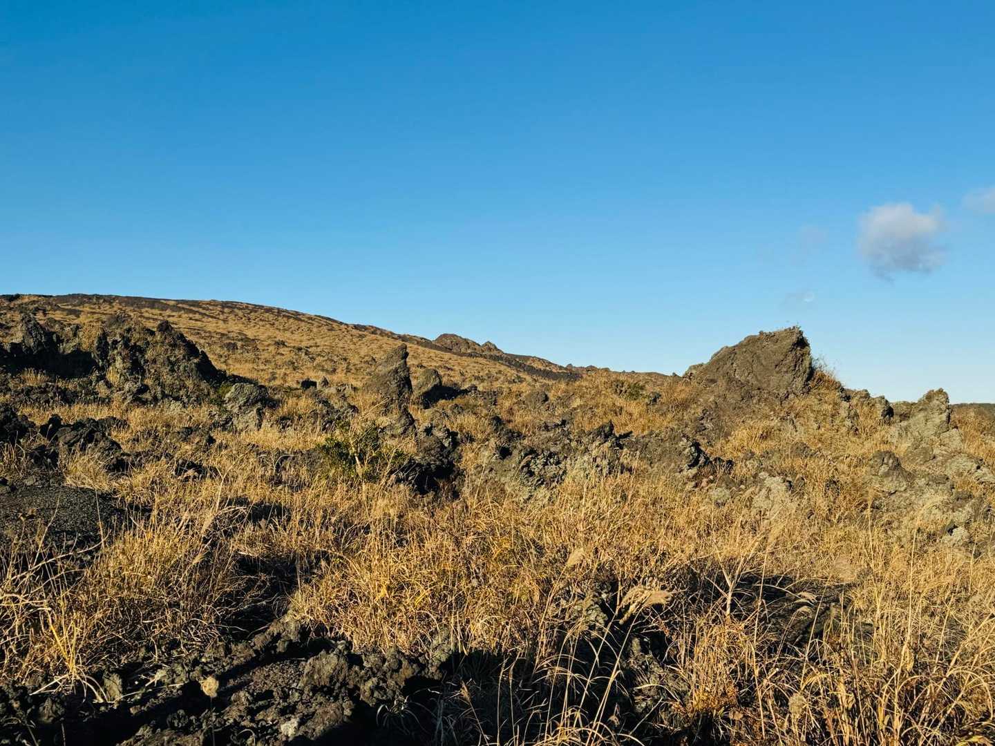 温泉コース登山口発着｜三原山お鉢巡りコースの写真
