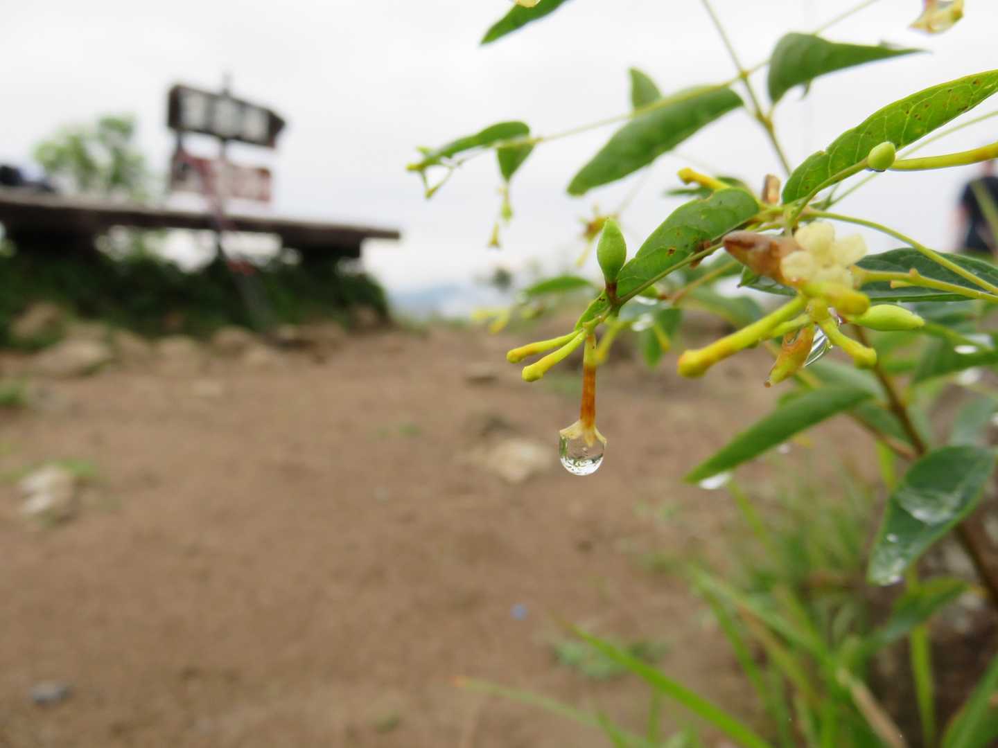 映るんです。
ベンチが逆さに。。