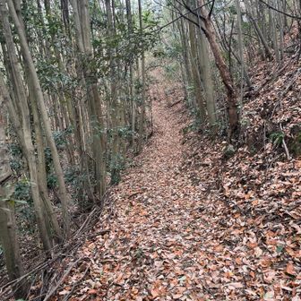 分かりやすい👍